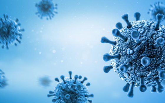 Why viruses are not living organisms