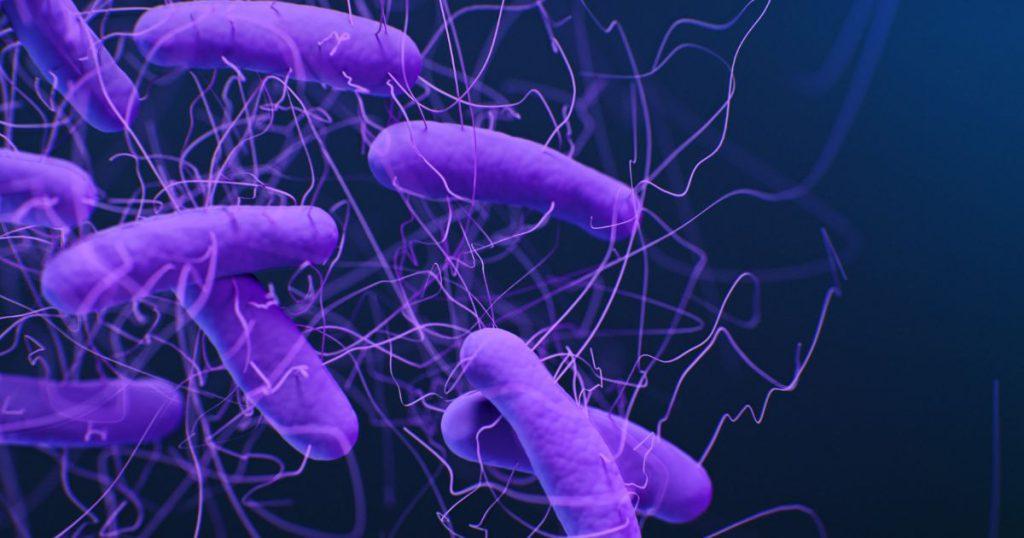 Bacterial classification