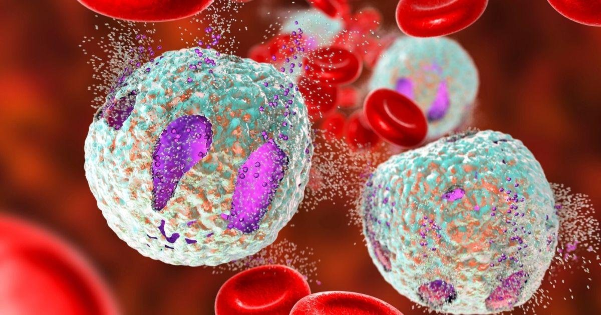 WHAT ARE THE MAJOR COMPONENTS OF BLOOD AND THEIR FUNCTIONS visual data 3