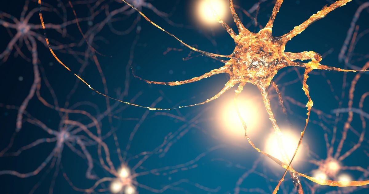 The Molecular Symphony: Decoding Cell Biology in Alberts’ Seminal Work