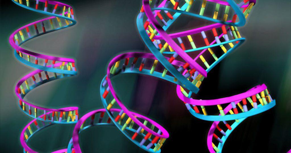 DNA and RNA in Molecular Biology