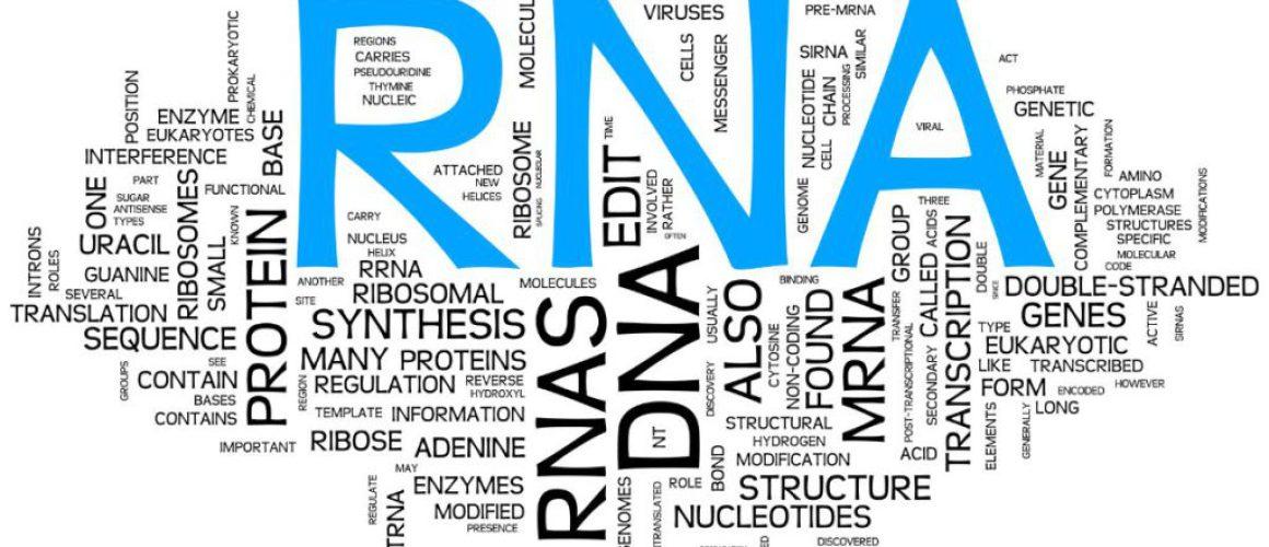 DNA vs RNA