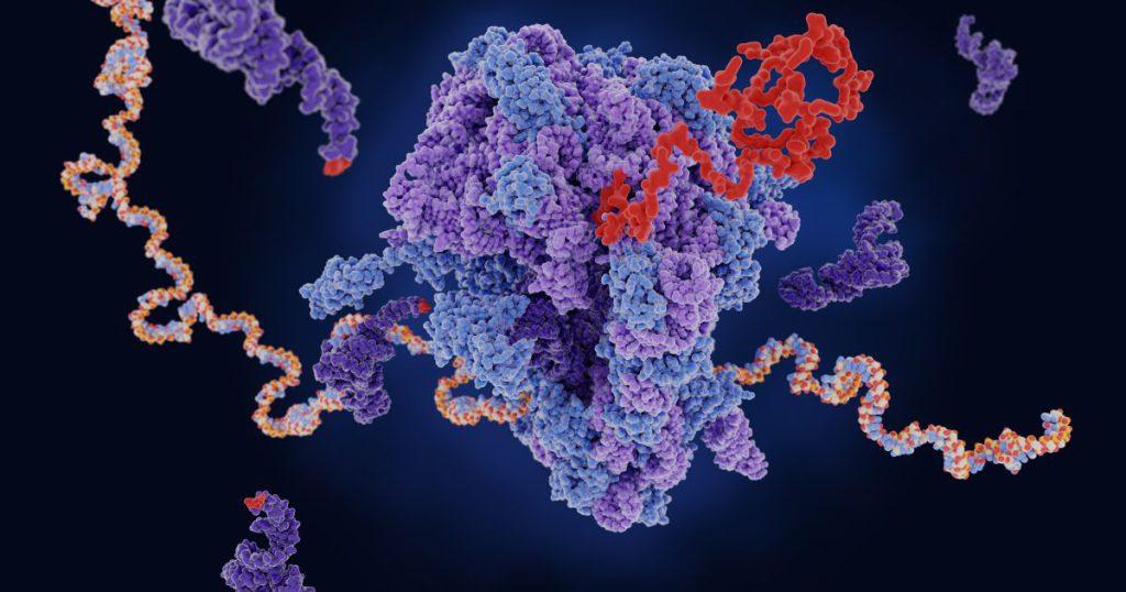 DNA vs RNA