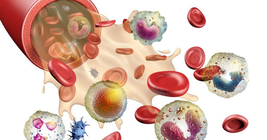 Eosinophils